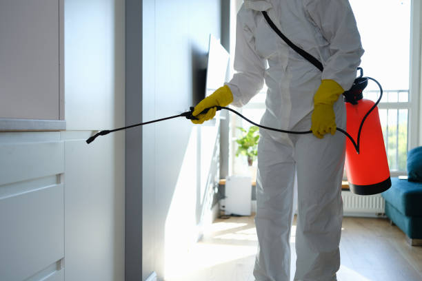 Best Post-Remediation Services in Pittsburg, KS
