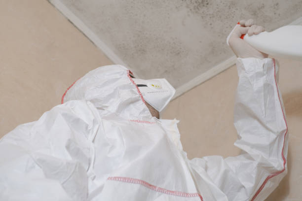 Best Residential Mold Remediation in Pittsburg, KS